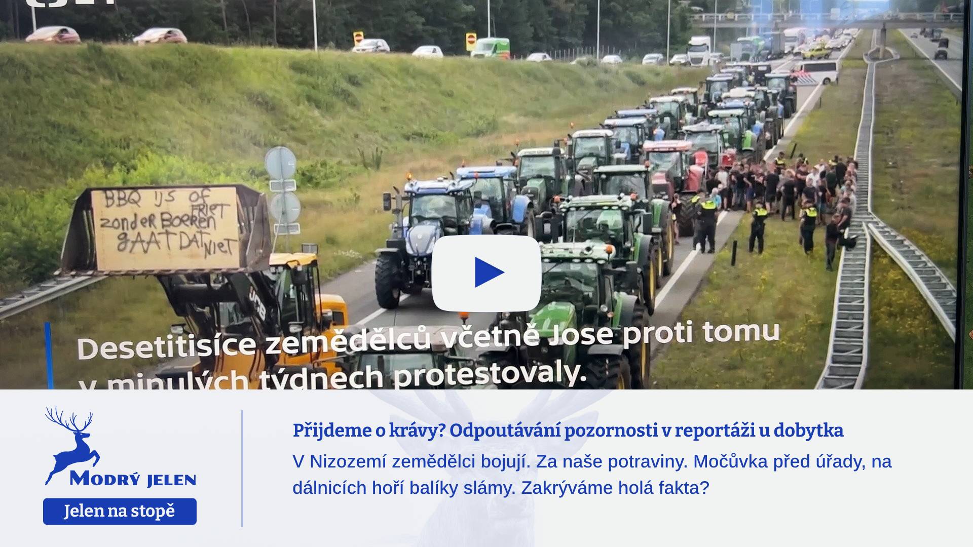 Přijdeme o krávy? Odpoutávání pozornosti v reportáži o dobytku