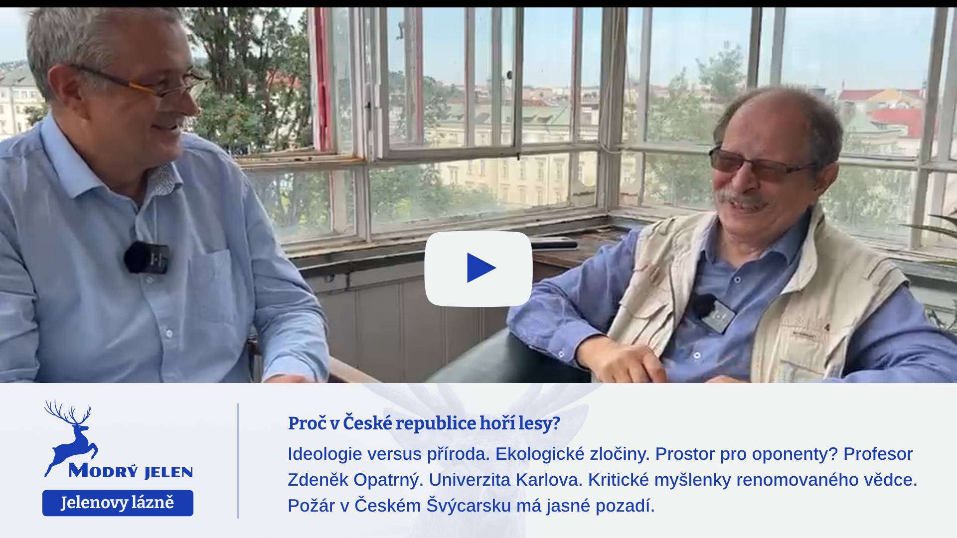 Proč v České republice hoří lesy?