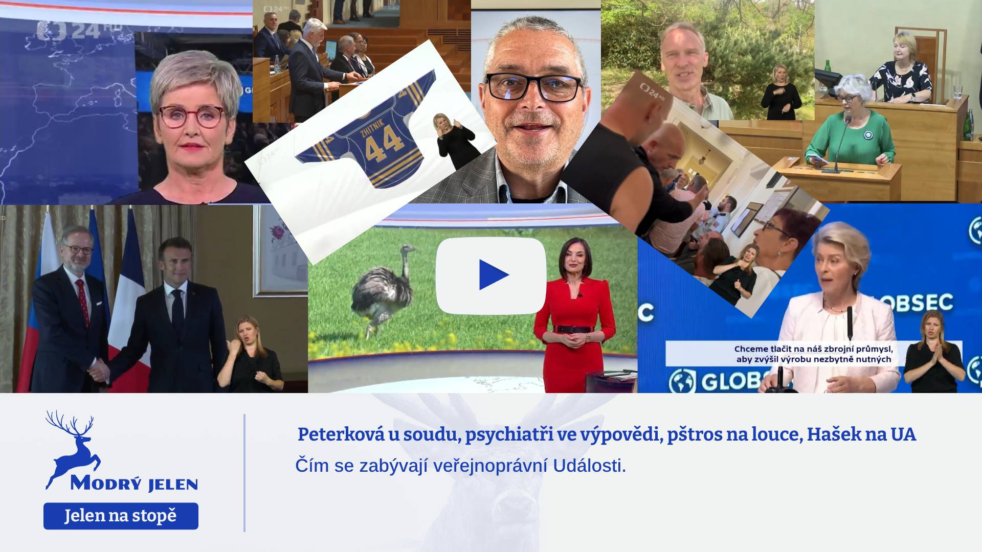 Peterková u soudu, psychiatři ve výpovědi, pštros na louce, Hašek na UA