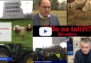 Jeli na traktorech za kvalitnější hovězí