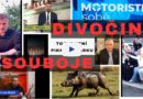 Tady se nehraje na sběr hub. Šimkovičovou vypískali, Turek šlape na plyn a Kartous rozhazuje jiskry