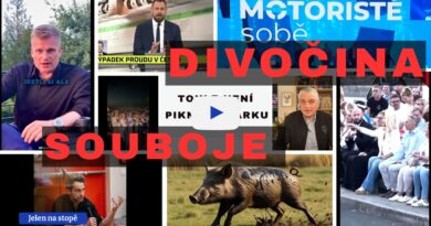 Tady se nehraje na sběr hub. Šimkovičovou vypískali, Turek šlape na plyn a Kartous rozhazuje jiskry