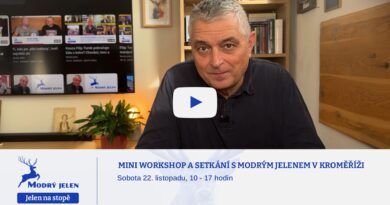 Pozvánka na předvánoční workshop s Modrým jelenem v Kroměříži